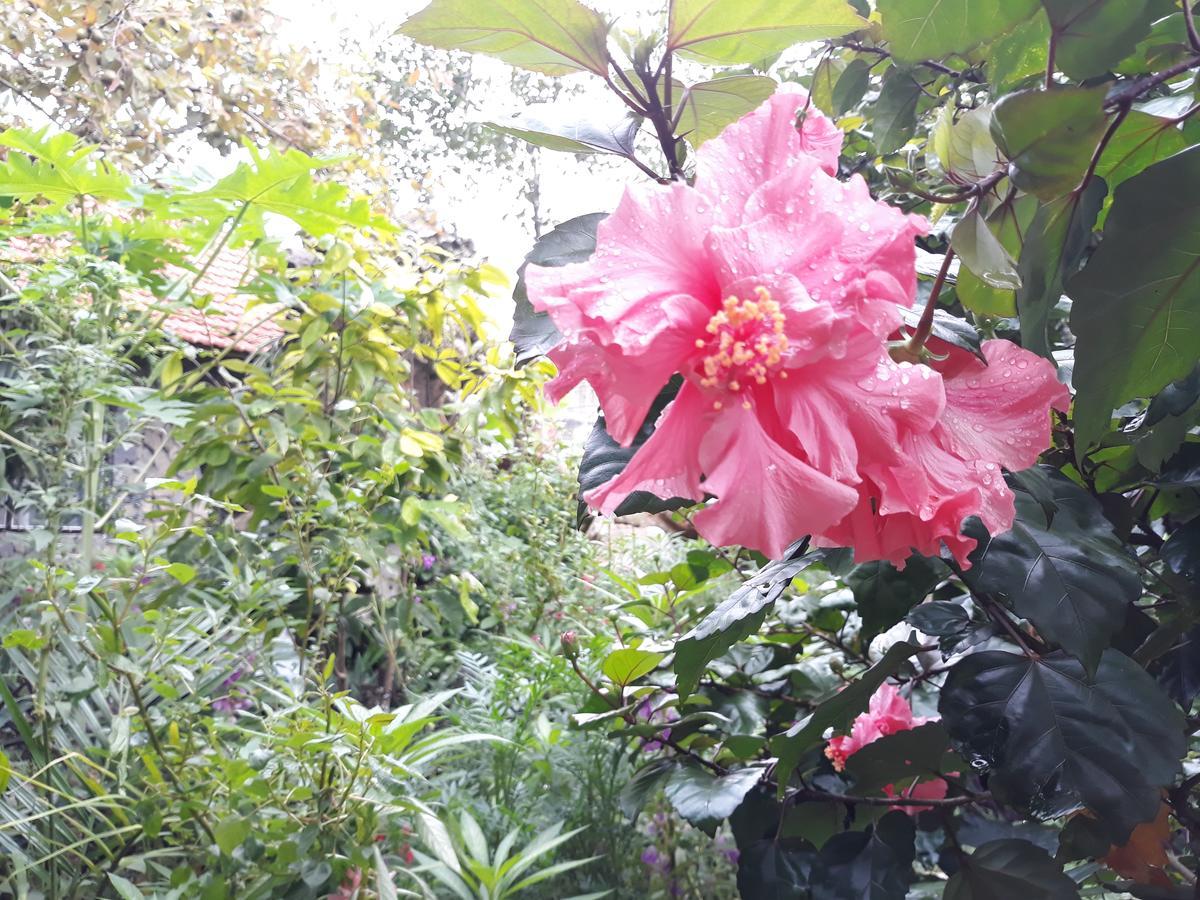 Mr. Viet Home Stay Ninh Binh Exterior photo