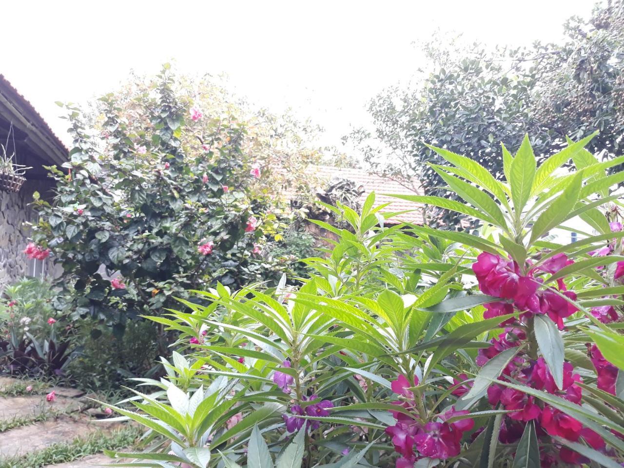 Mr. Viet Home Stay Ninh Binh Exterior photo