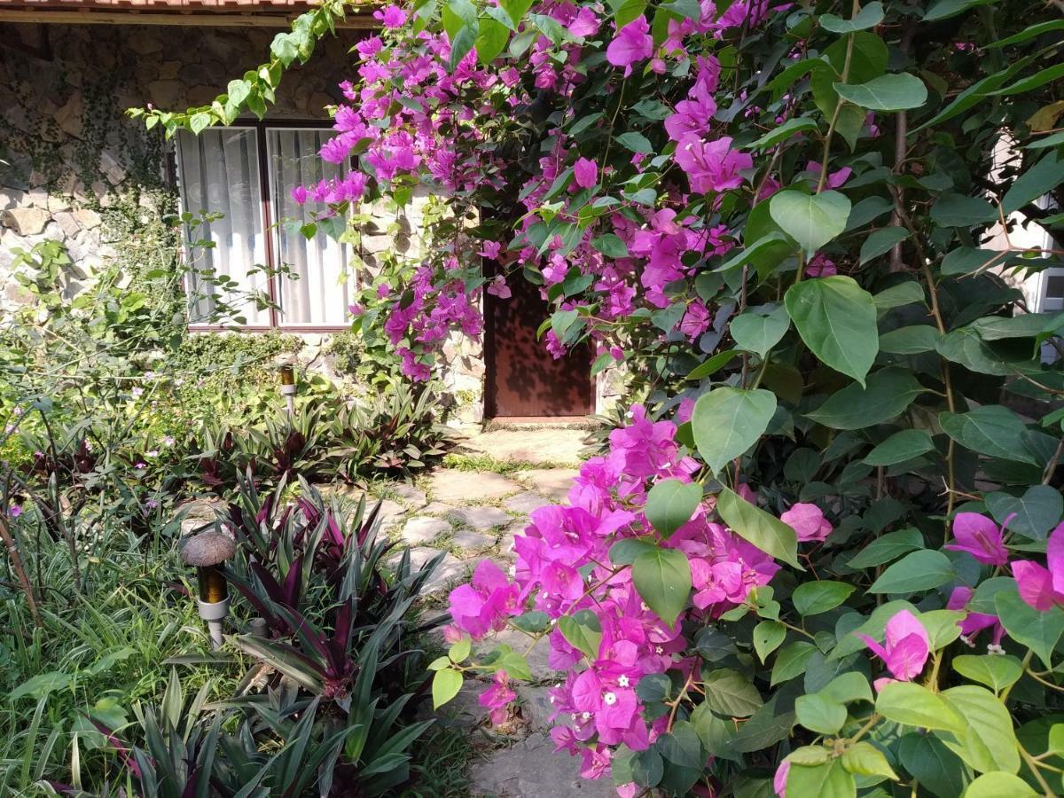 Mr. Viet Home Stay Ninh Binh Exterior photo